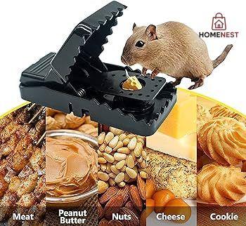 Multipurpose Plastic Mouse Trap