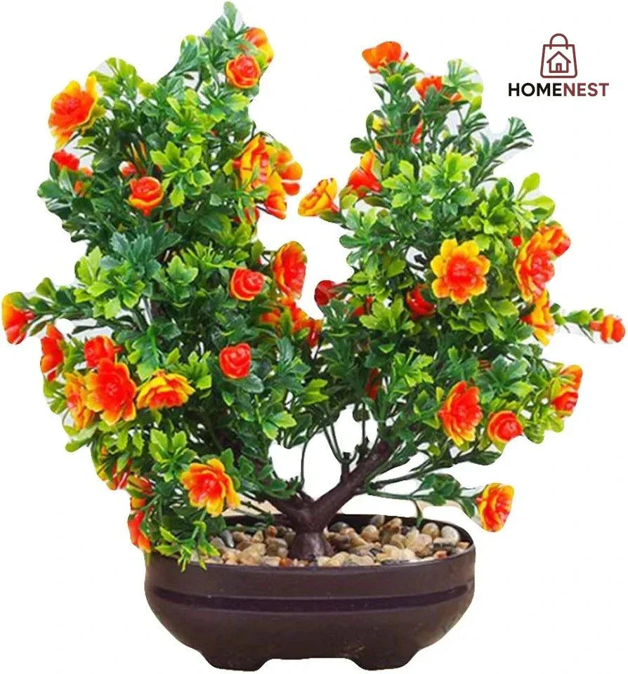 Home Decor Plants