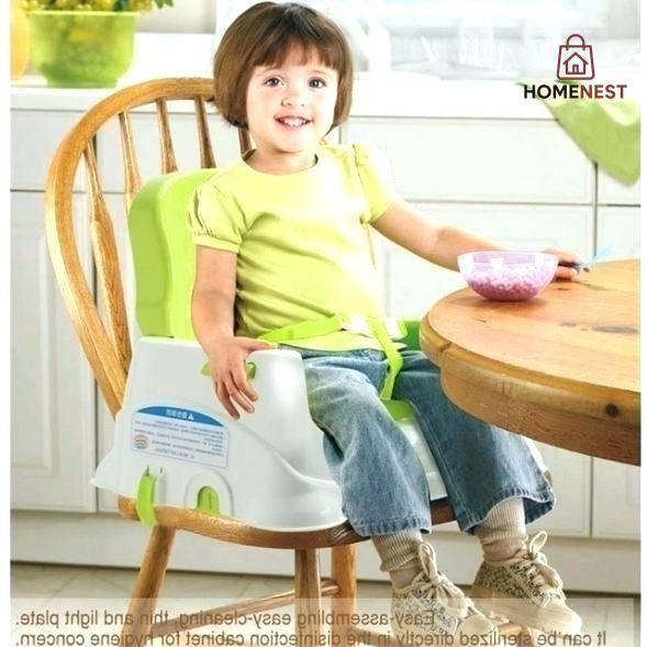 3 in 1 Healthcare Booster Seat
