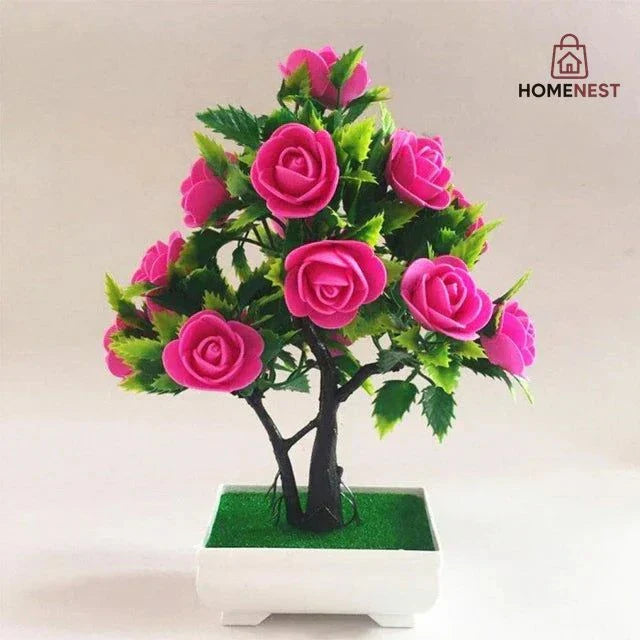 Home Decor Plants
