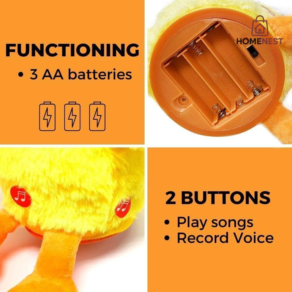 Duck Dancing Cactus