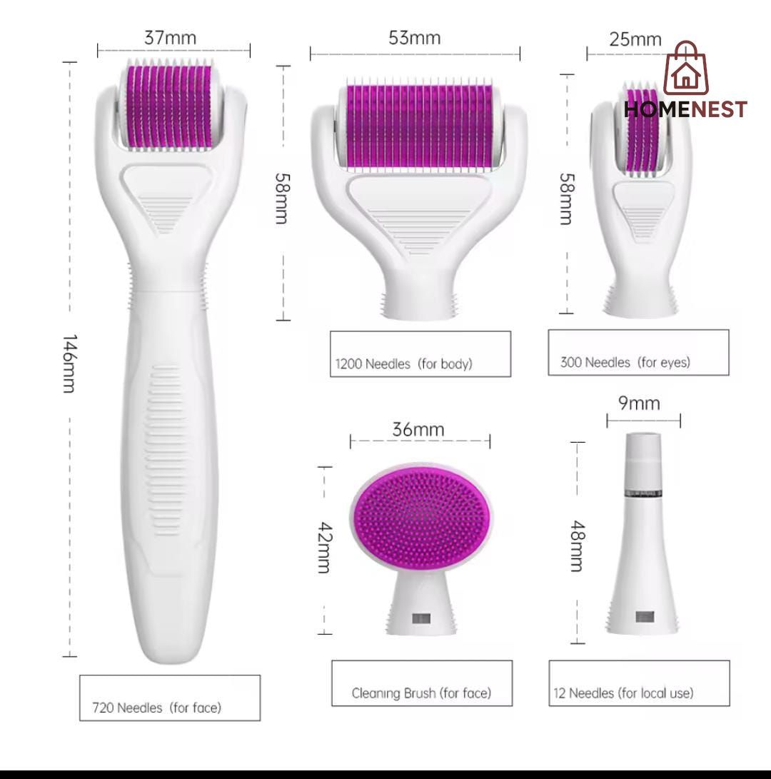 6 in 1 Derma Roller