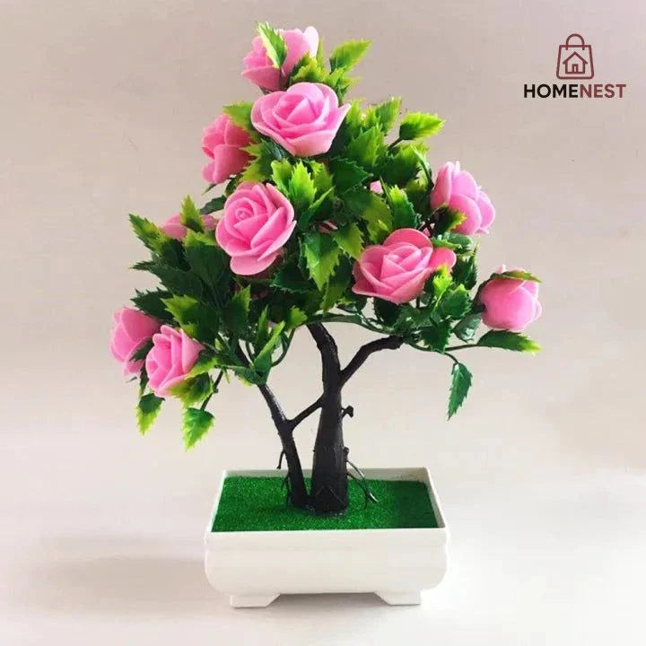 Home Decor Plants
