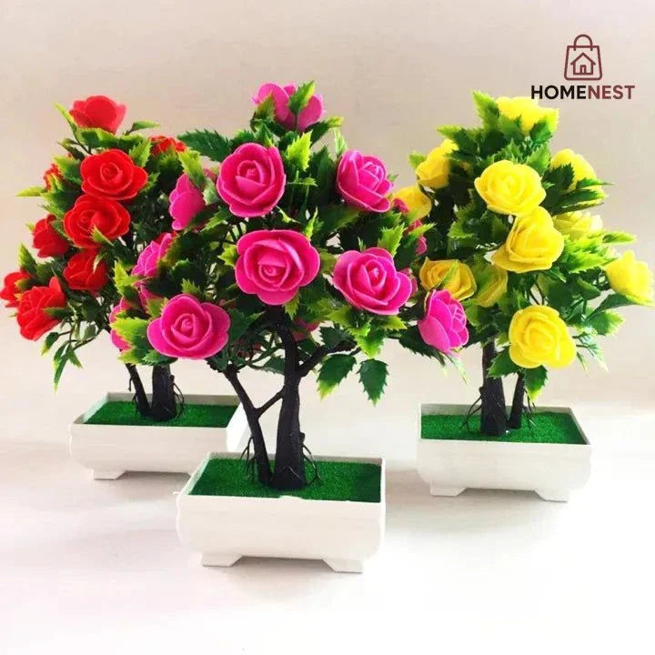 Home Decor Plants